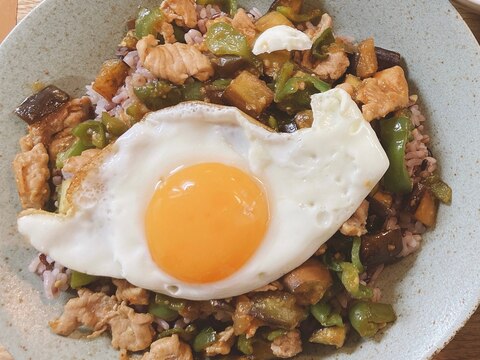 ピーマンとなすのスタミナ丼